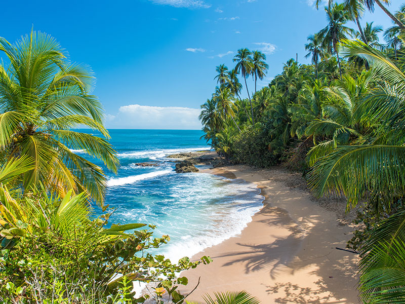 Beach in Costa Rica